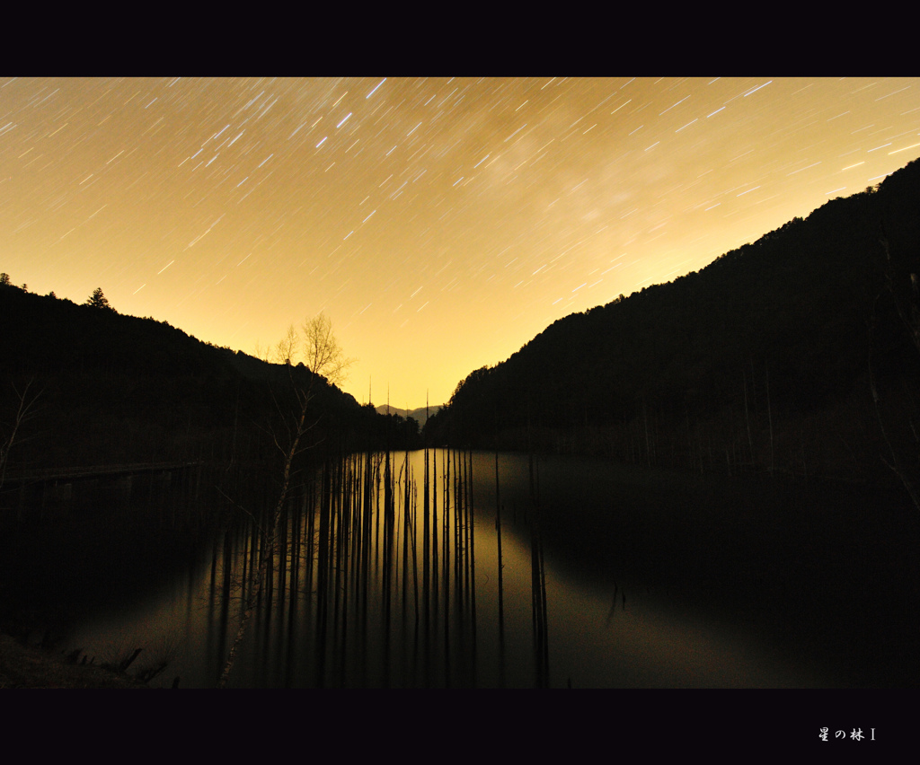 （再）星の林Ⅰ
