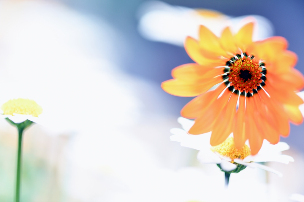 Bright hope