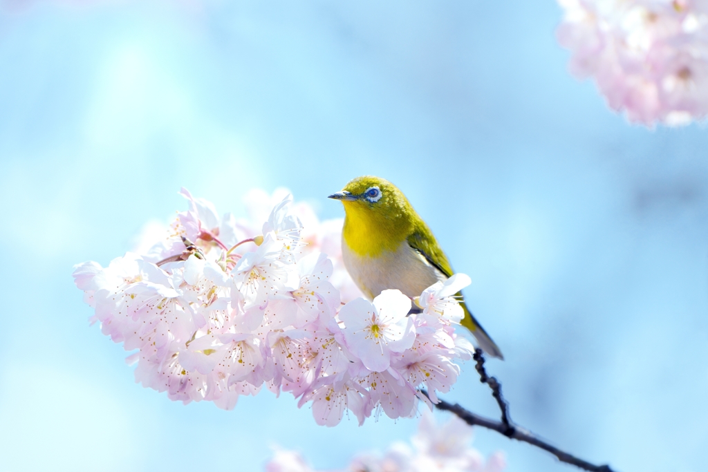 春　色