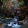 秋暮れの渓