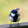 春よ！Ⅲ