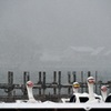 こんなお天気にはｺﾞｰｸﾞﾙがお似合い