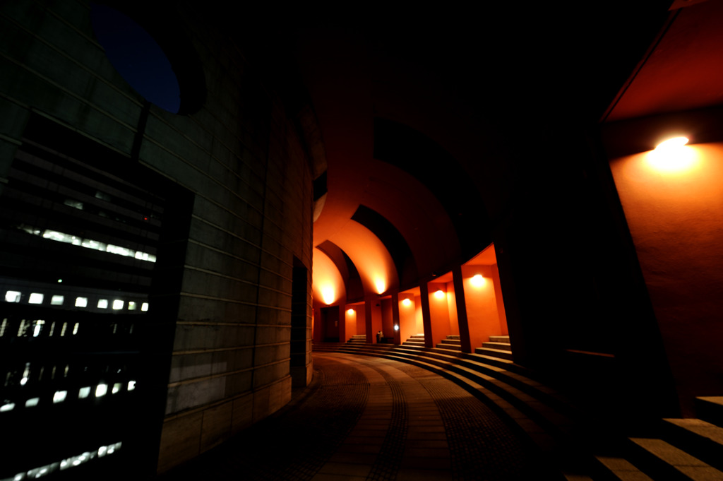 The silence of the night 回廊