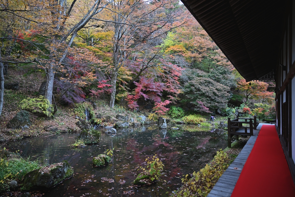 濡れ山水