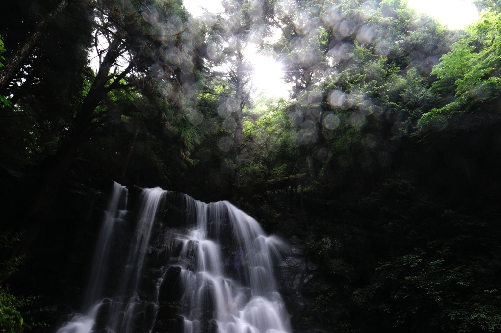 緑　雨