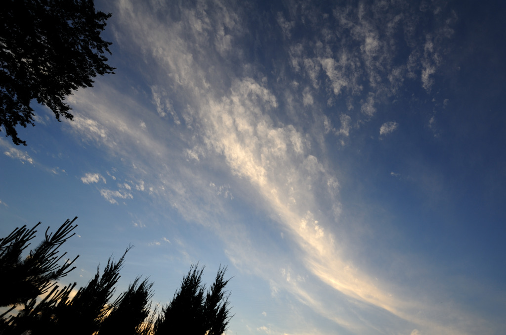 梅雨明けまでの空の葛藤