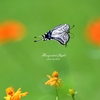 Horizontal flight