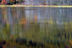 秋色鏡池