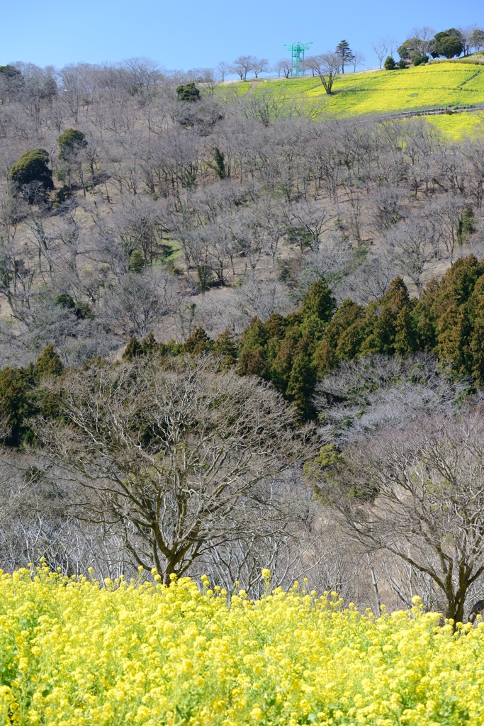 季節の硲