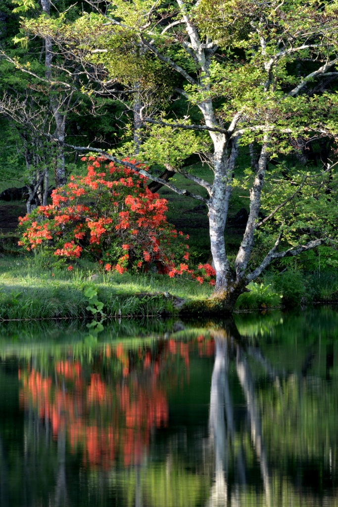 燃える思い