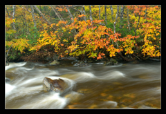 秋色の濁り川