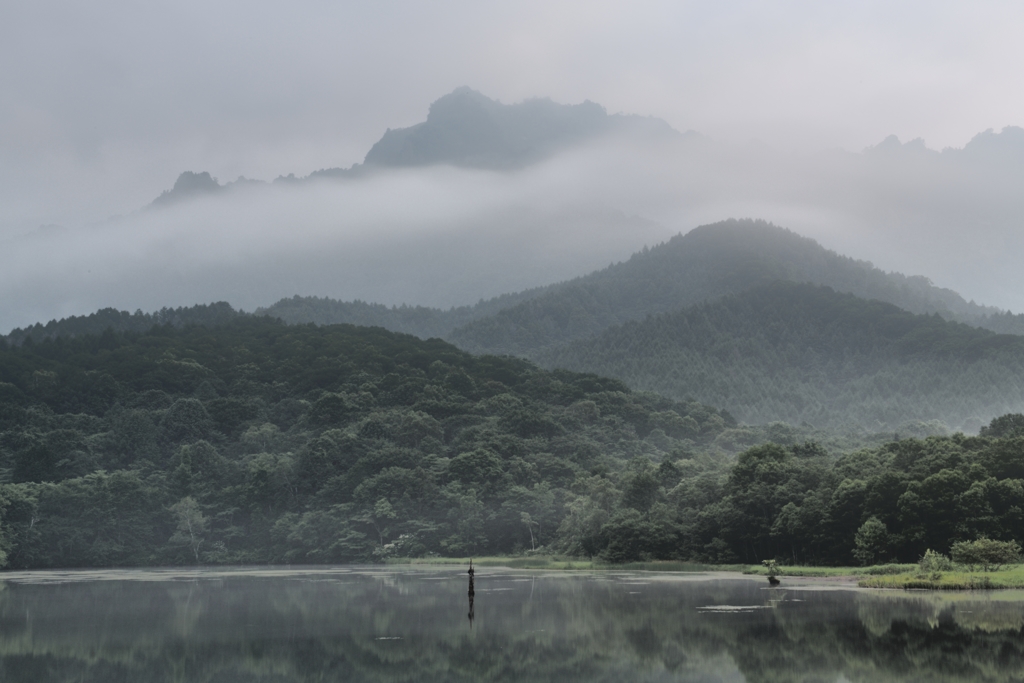 夏雲往く