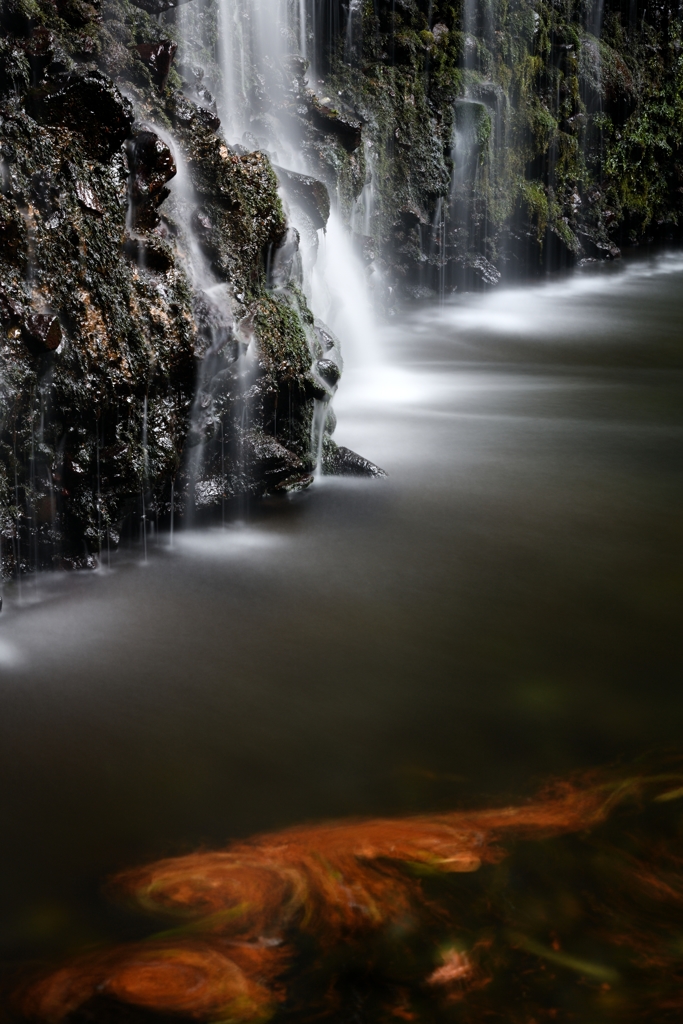 蛇骨川の伏流水Ⅱ