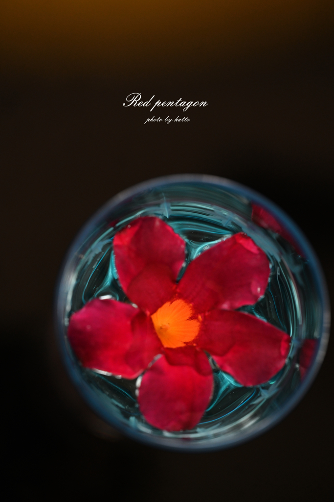 Red pentagon