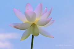 天上天下唯我独尊