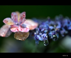 （再）梅雨の音