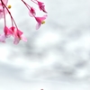 秋空  片思い