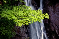 新緑の大久保の滝