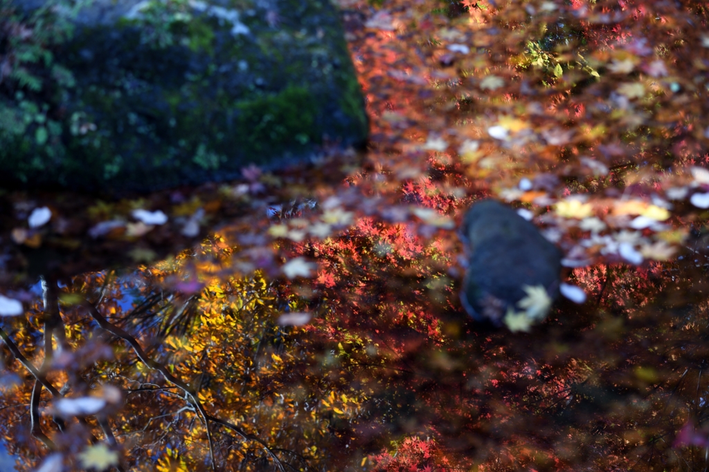 紅葉雲漢