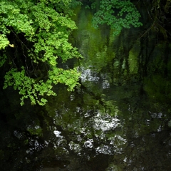 深緑の渓