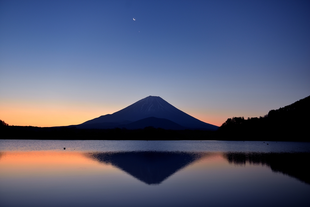 月と金星