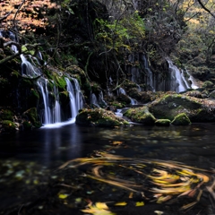 伏流水の晩秋