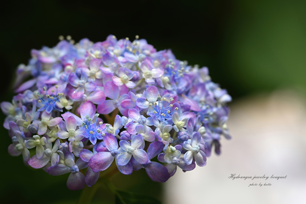 紫陽花ジュエリーブーケ