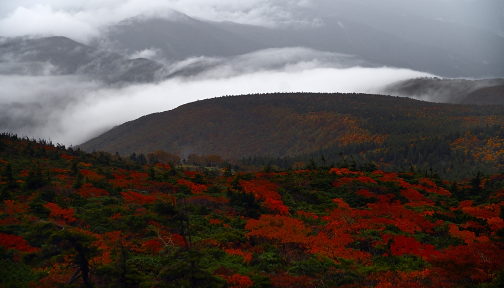 蔵王錦と滝雲