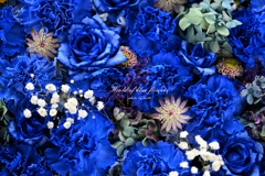 World of blue flowers