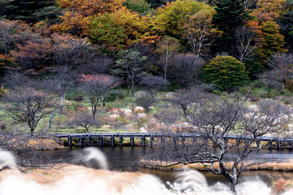 赤城の渡月橋？