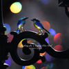 Looking for a happy blue bird