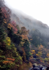 袋田雨情