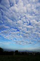 雲域大山へ(丹沢)