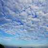 雲域大山へ(丹沢)