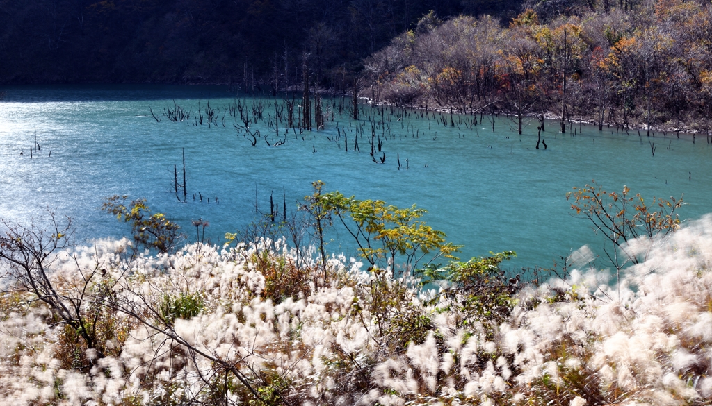 徳山湖の晩秋