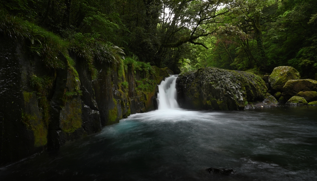 雨後の菊池渓谷