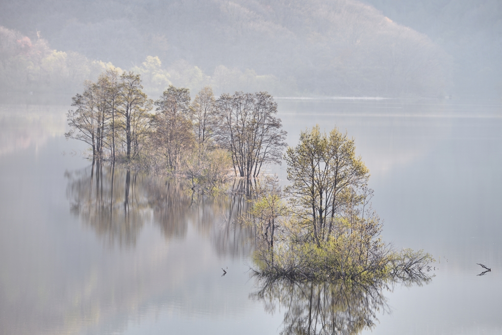 烟　景