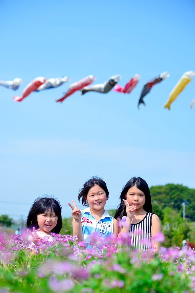 5月の風