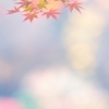 秋彩衣Ⅲ