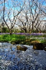 飛花の宴Ⅱ