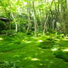 緑の庭園