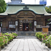 坐摩神社の紫陽花