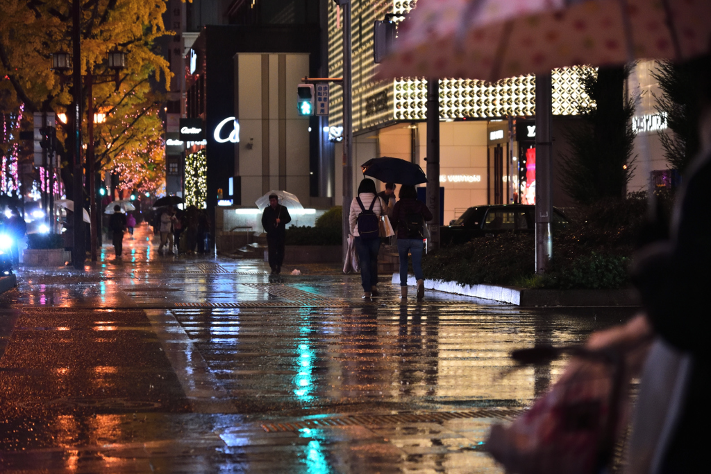 雨の御堂筋