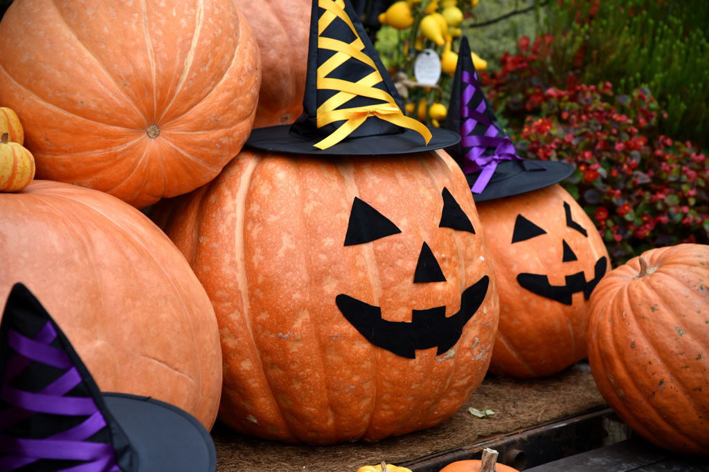 ハロウィン かぼちゃのお化け