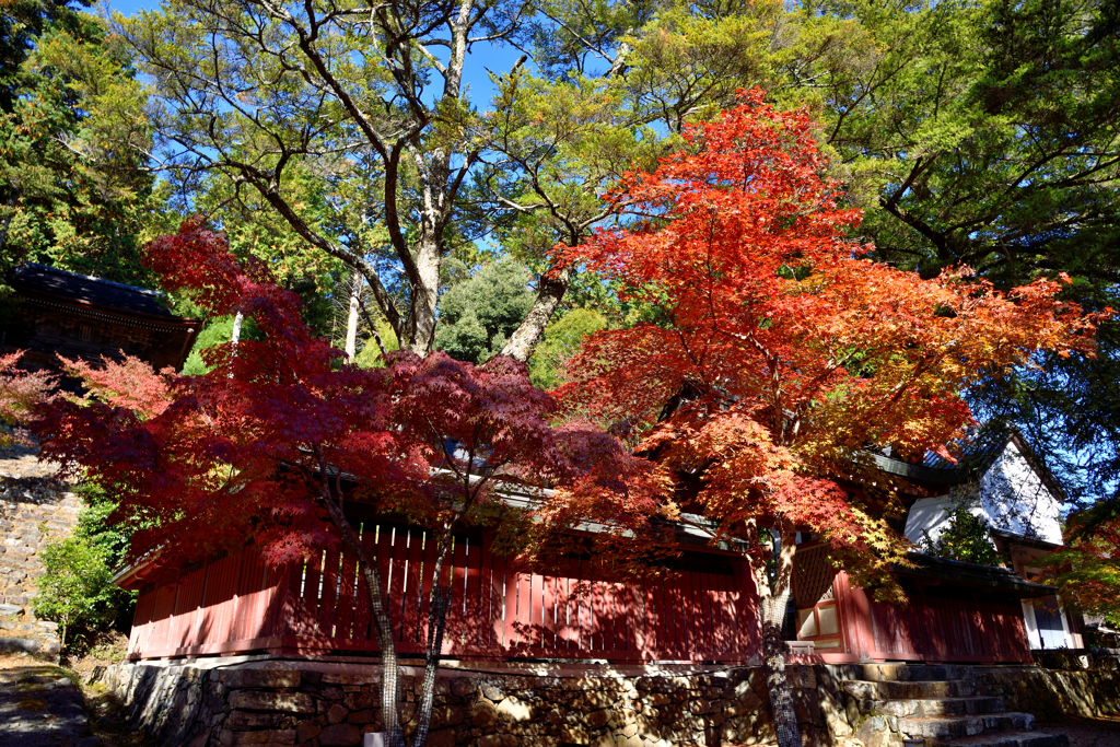 神護寺　和気公霊廟