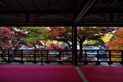 柳谷観音 楊谷寺　上書院