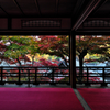 柳谷観音 楊谷寺　上書院