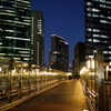 汐留の夜（2）