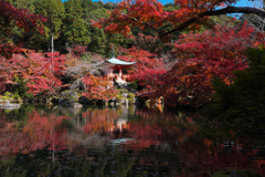 醍醐寺の秋