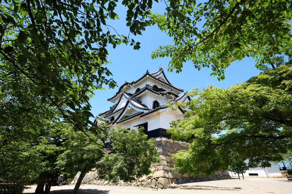 彦根城